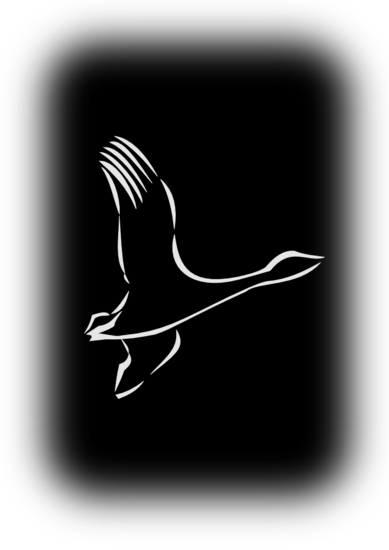 Lintu 3